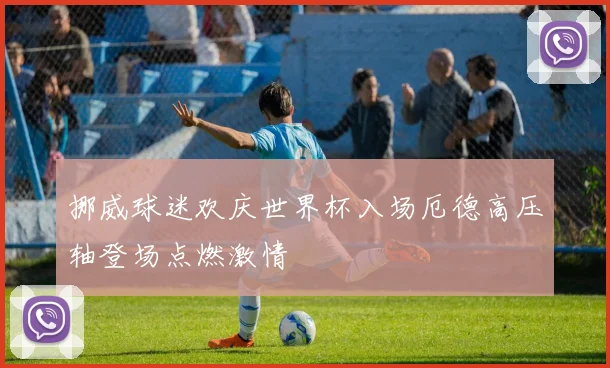 挪威球迷欢庆世界杯入场厄德高压轴登场点燃激情