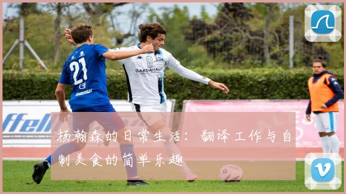 杨瀚森的日常生活：翻译工作与自制美食的简单乐趣